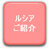 ルシアご紹介